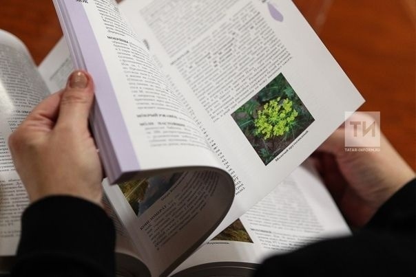 Книга. ФОТО: ТИ